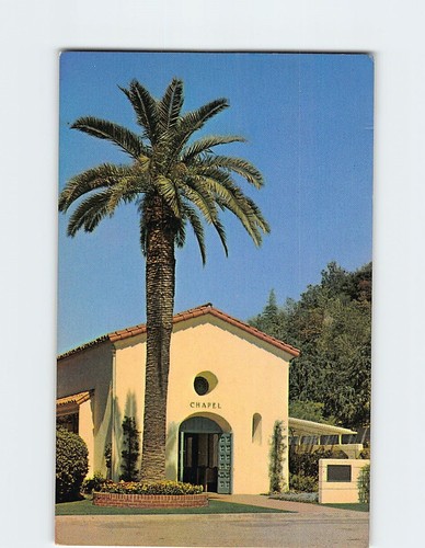 Postcard rose hills memorial - rose,